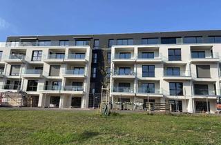 Wohnung mieten in Im Schmidtenloch 32 A, 53894 Mechernich, Geschmackvolle, neuwertige 2-Zimmer-Wohnung mit gehobener Innenausstattung mit EBK in Mechernich