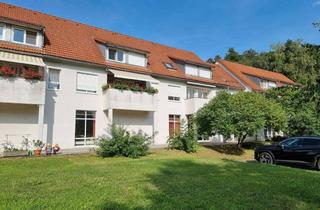 Lofts mieten in Am Wäldchen, 02788 Hirschfelde, Geräumige, preiswerter Loft oder 5-Zimmer-Erdgeschosswohnung in Wittgendorf