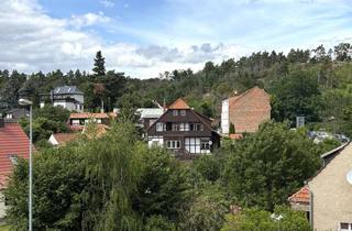 Wohnung mieten in Weinbergweg, 06484 Quedlinburg, Ansprechende 2-Raum-Wohnung in Quedlinburg mit EBK