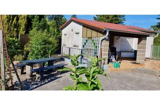 Haus kaufen in 14778 Beetzsee, Bungalow in Brielow/Beetzsee – 40 m² auf 780 m² Eigentumsland