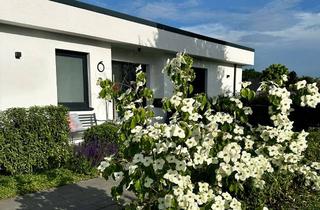Haus kaufen in 29336 Nienhagen, Traumhaus in Top Lage von Nienhagen