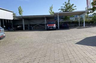 Gewerbeimmobilie mieten in Mußbacher Landstraße 20, 67433 Neustadt, Gewerbehalle in Neustadt an der Weinstraße