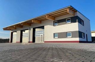 Büro zu mieten in Heroldsleite, 96142 Hollfeld, Gewerbehalle m. Büroräumen in 96142 Hollfeld