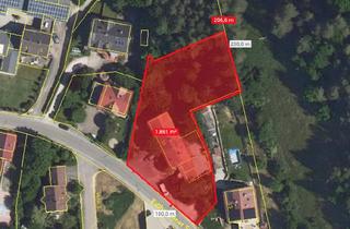 Grundstück zu kaufen in Edelhausenerstraße 13, 93164 Laaber, Tolles Grundstück mit traumhafter Aussicht und Altbestand