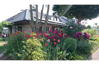 Wohnung mieten in 97877 Wertheim, Gepflegte 2-Raum-Wohnung mit Terrasse und Einbauküche in Wertheim