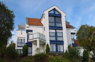 Wohnung mieten in Meisenweg 20, 89195 Staig, Attraktive und gepflegte 2-Raum-Souterrain-Wohnung in Staig-Steinberg