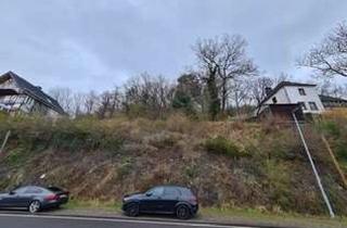 Grundstück zu kaufen in 53937 Schleiden, ***Baugrundstück mit Fernblick**