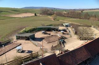 Immobilie kaufen in 31863 Coppenbrügge, Wunderschöner Bauernhof / Pferdehof