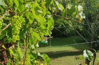 Einfamilienhaus kaufen in 78166 Donaueschingen, Donaueschingen - Einfamilienhaus mit großem Garten *Top Lage*