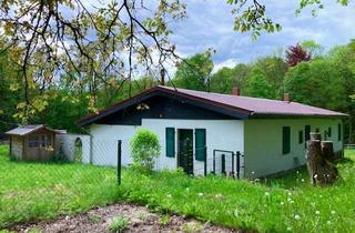 Haus kaufen in 37627 Stadtoldendorf, Ungeschliffene Perle - großer Bungalow mit Einliegerwohnung in absoluter Alleinlage - Tiere Hunde