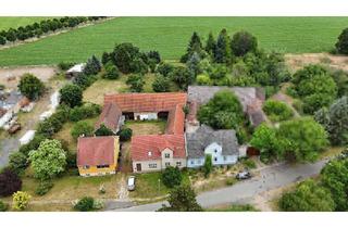 Haus kaufen in 04916 Herzberg, Großzügiger Dreiseitenhof mit 2 Wohnhäusern, großer Scheune und großem Grundstück