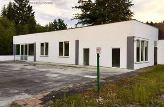 Gewerbeimmobilie kaufen in 91154 Roth, Lagerhalle mit genehmigtem Umbau zu 2 Doppelhaushälften in ruhiger Lage – 91154 Roth-Bernlohe