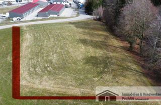 Grundstück zu kaufen in 83558 Maitenbeth, 4824m² Grundstück Gemeinde Maitenbeth, gegenüber(westlich) dem Gewerbegebiet "Thal Süd"