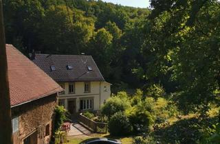 Haus kaufen in 66640 Namborn, Alte Mühle mit traumhaftem Grundstück
