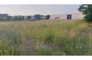 Gewerbeimmobilie mieten in Eitzer Föhre, 30900 Wedemark, Freiflläche bis zu 2500 qm zu vermieten direkt A7 Nähe