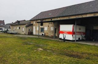 Haus kaufen in 04924 Bad Liebenwerda, Bad Liebenwerda - Multitalent! 3.000 m² mit Stallhalle, Fachwerkhaus und Potenzial