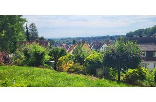 Wohnung mieten in 63864 Glattbach, Ruhige 2-Zimmer-Wohnung, Waldrandlage mit Blick nach Glattbach