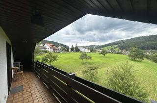 Wohnung mieten in Richard-Wagner-Straße 25, 69259 Wilhelmsfeld, Schöne und gepflegte 2-Raum-DG-Wohnung mit Einbauküche in Wilhelmsfeld