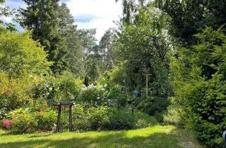 Einfamilienhaus kaufen in 39326 Angern, großes Grundstück mit Einfamilienhaus