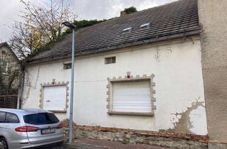 Haus kaufen in 39221 Welsleben, Sanierungsbedürftiges Wohnhaus im Bördeland OT Eggersdorf