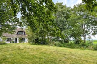 Haus kaufen in 25836 Osterhever, Hoch thronend auf dem SommerdeichHistorische Reetdachkate mit Weitblick