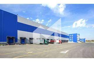 Gewerbeimmobilie mieten in 32584 Löhne, PROVISIONSFREI | LOGISITK | LAGER | HALLE | RAMPEN | EBENERDIG | COMSTATE