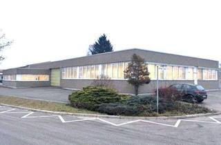Büro zu mieten in 86720 Nördlingen, Hallen mit Lager-/Produktionsflächen und Büros inkl. Sozialräumen!