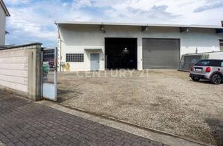 Gewerbeimmobilie mieten in 68809 Neulußheim, Vielseitige Gewerbehalle mit überdachter Freifläche & großer Hoffläche