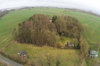 Grundstück zu kaufen in 24340 Eckernförde, Baugrundstück bei Eckernförde