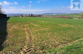 Grundstück zu kaufen in 94486 Osterhofen, 2,7 ha Ackerflächen nähe Osterhofen /Forsthart und Weide oder Grünland