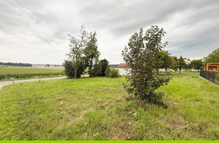 Grundstück zu kaufen in 85111 Adelschlag, Baugrundstück mit 615 m² in Adelschlag - Weißenkirchen