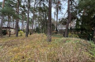 Grundstück zu kaufen in Rädlerwald, 15831 Blankenfelde-Mahlow, Charmantes Baugrundstück in Mahlow