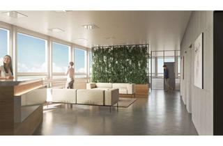 Büro zu mieten in Englerstr, 77652 Offenburg, Flexible Praxis / Büroflächen in verkehrsgünstiger Lage