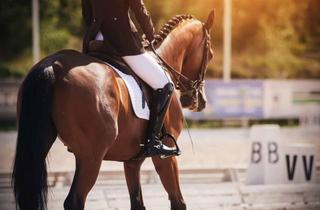 Immobilie kaufen in 88069 Tettnang, Schöne Reitsport-Anlage - nahe Bodensee - Secret-SALE