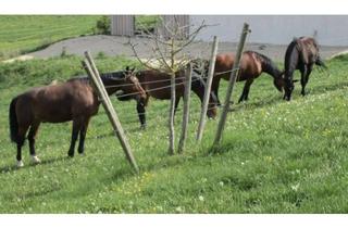 Lager kaufen in 72488 Sigmaringen, Gepflegter Pferdehof Aktivstall mit Halle und RP nahe Schweizer Grenze *keine Maklergeb*