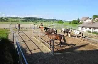 Lager kaufen in 88605 Meßkirch, Gepflegter Pferdehof Aktivstall mit Halle und RP nahe Schweizer Grenze *keine Maklergeb*