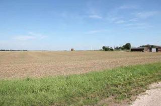 Gewerbeimmobilie kaufen in 39448 Etgersleben, Landwirtschaftsfläche in Etgersleben; Mindestgebot: 54.000 €; Einzelheiten siehe Exposee!