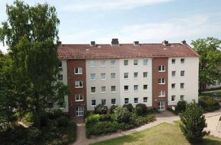Wohnung mieten in Hoher Berg 18, 23701 Eutin, Frisch sanierte 3-Zimmer-Wohnung mit Balkon in Eutin – Erstbezug ab 01.09.2025