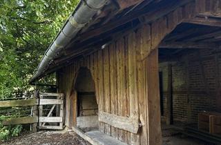 Immobilie mieten in 31167 Bockenem, Grundstück für Selbstversorger Pferde mit Offenstall Boxen in Bockenem