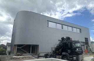 Gewerbeimmobilie mieten in 78247 Hilzingen, Beeindruckende Gewerbeimmobilie! Moderne Neubau Halle zu vermieten.