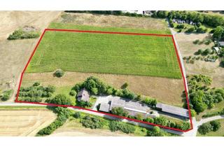 Immobilie kaufen in Schwärz, 74219 Möckmühl, Landwirtschaftliches Anwesen mit Wohnhaus –ideal für Pferdehaltung und ländliches Leben