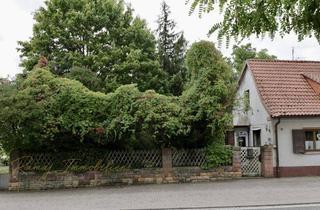 Grundstück zu kaufen in 67271 Mertesheim, NEUER PREIS Großzügiges Baugrundstück in Mertesheim (Pfalz) – ca. 1.307 m² mit angrenzendem Bachlauf