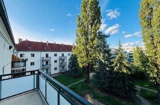 Wohnung kaufen in 13055 Alt-Hohenschönhausen, Provisionsfreie 4-Zimmer-Wohnung in Alt-Hohenschönhausen – direkt einziehen