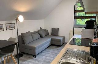 Wohnung mieten in Reichensteinstraße 66, 69151 Neckargemünd, Natur Pur! Renovierte 1,5-Zimmer-Wohnung mit Terrasse und Garten in Neckargemünd