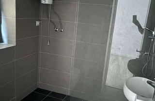 Wohnung mieten in 67574 Osthofen, Charmante 1-Zimmer-Dachgeschosswohnung in zentraler, ruhiger Lage von Osthofen – mit Einbauküche
