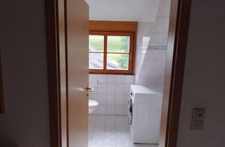 Wohnung mieten in Kandel, 79271 St. Peter, Geschmackvoll möblierte Wohnung in der Höhe