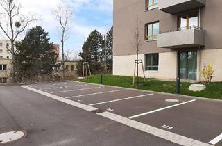 Garagen mieten in Gadebuscher Straße 25, 12619 Kaulsdorf (Hellersdorf), Außenstellplatz für PKW - Hellersdorf