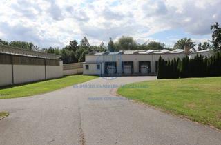 Geschäftslokal mieten in 04746 Hartha, Vermietung von 2 Produktions- und Lagerhallen in Hartha (getrennte Vermietung möglich)