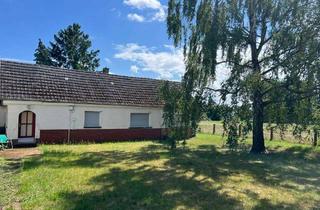 Grundstück zu kaufen in 64832 Babenhausen, Traumhaftes Baugrundstück mit Altbestand am Feldrand – unverbaubare Aussicht in Babenhausen