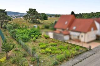 Grundstück zu kaufen in 69207 Sandhausen, Großes Grundstück mit mehreren Bebauungsmöglichkeiten in beliebter Wohnlage